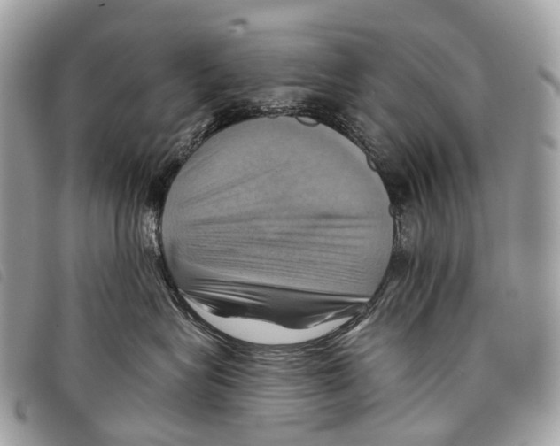 X0000097830575200804111042