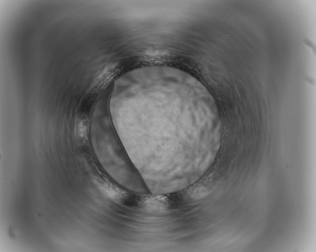 X0000097830576200804111042