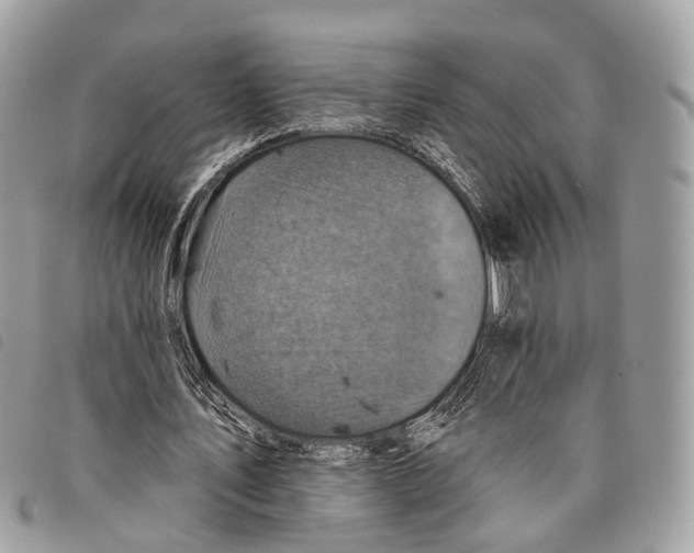 X0000097830579200804111041