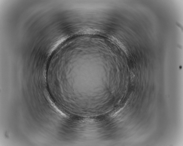 X0000097830581200804111041