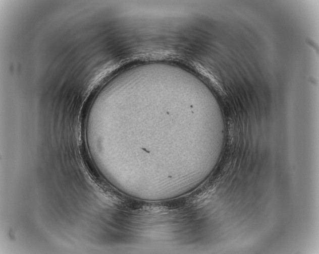 X0000097830582200804111041