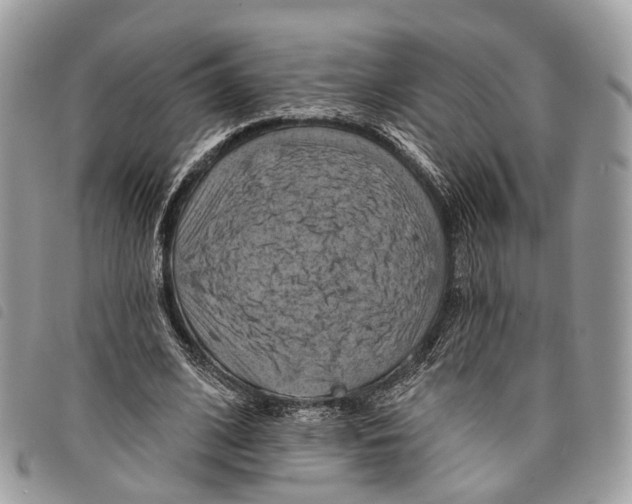 X0000097830584200804111041