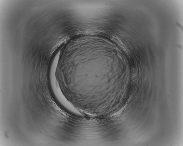 X0000097830585200804111041