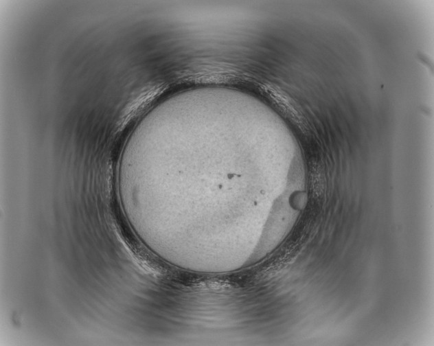 X0000097830586200804111041