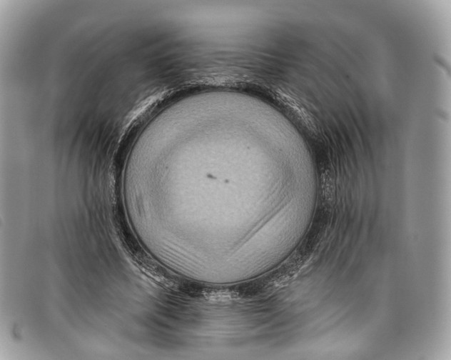 X0000097830587200804111041