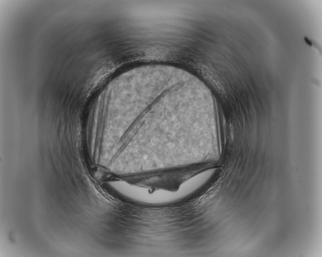 X0000097830588200804111041