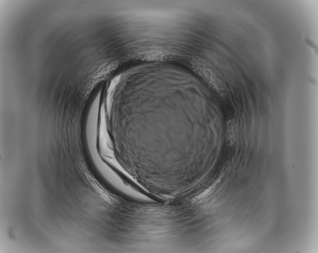 X0000097830589200804111041