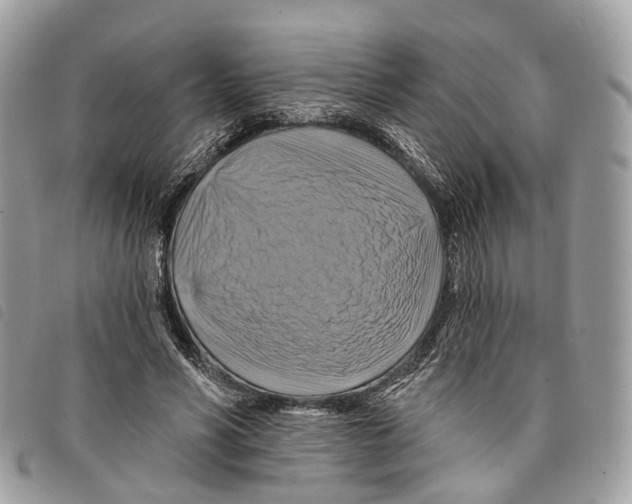 X0000097830590200804111041