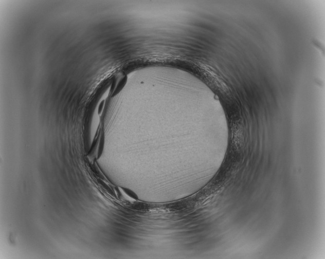 X0000097830591200804111041