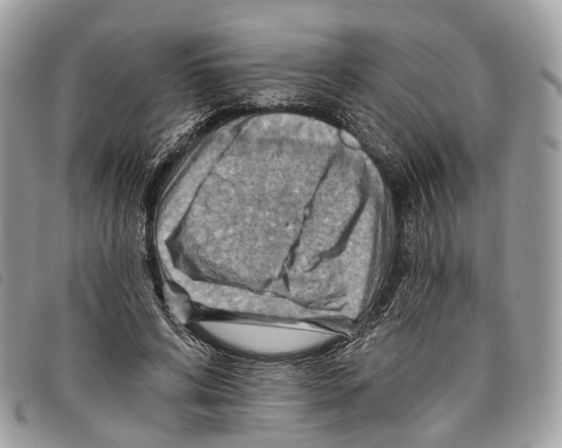 X0000097830592200804111041