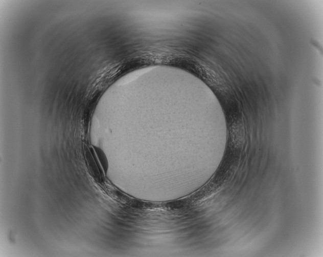 X0000097830594200804111041