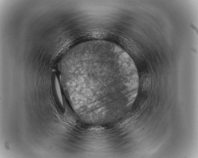 X0000097830595200804111041