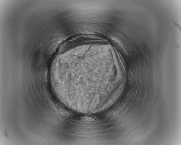 X0000097830596200804111041