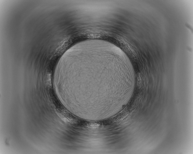 X0000097830598200804111041