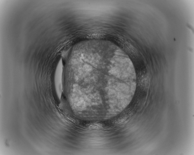 X0000097830599200804111041