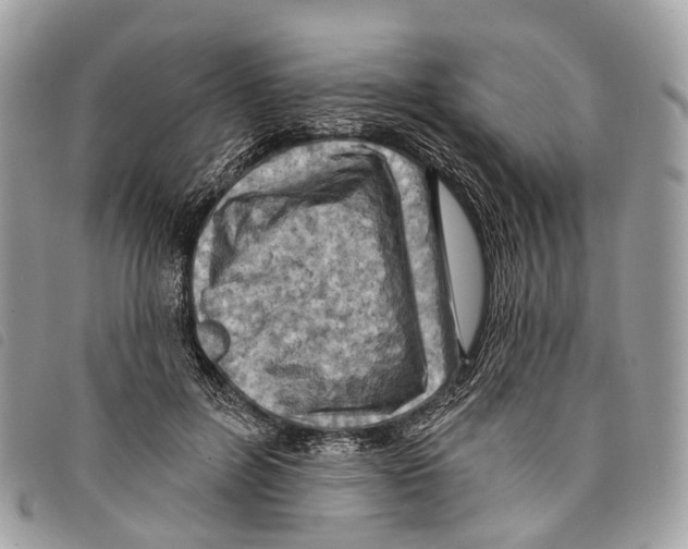 X0000097830600200804111041