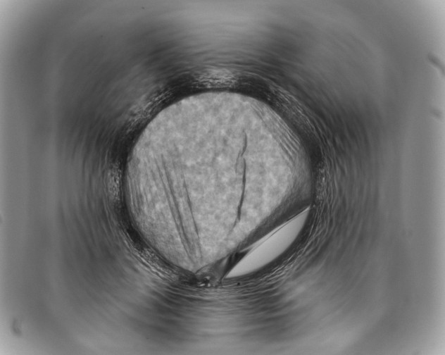 X0000097830604200804111041