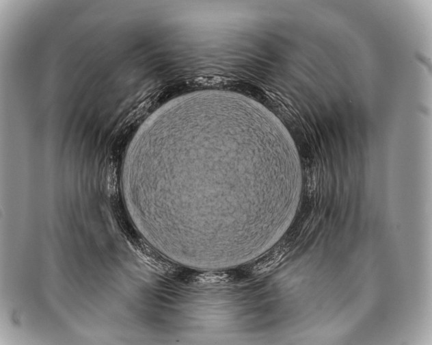 X0000097830606200804111041