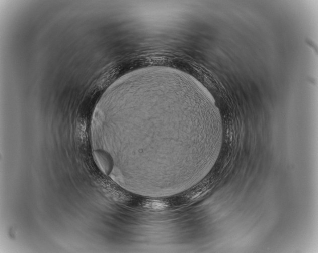 X0000097830610200804111041