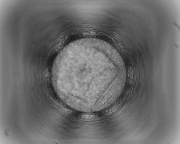 X0000097830614200804111041