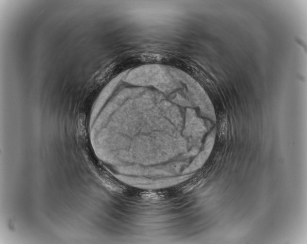 X0000097830616200804111041