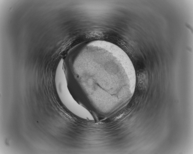 X0000097830617200804111041