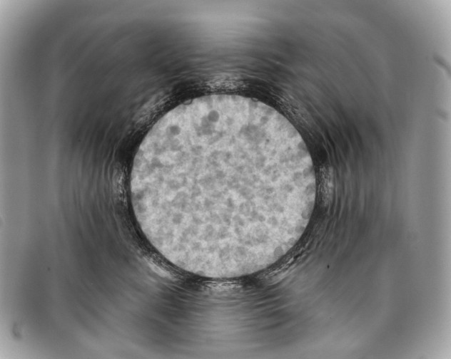 X0000097830619200804111041