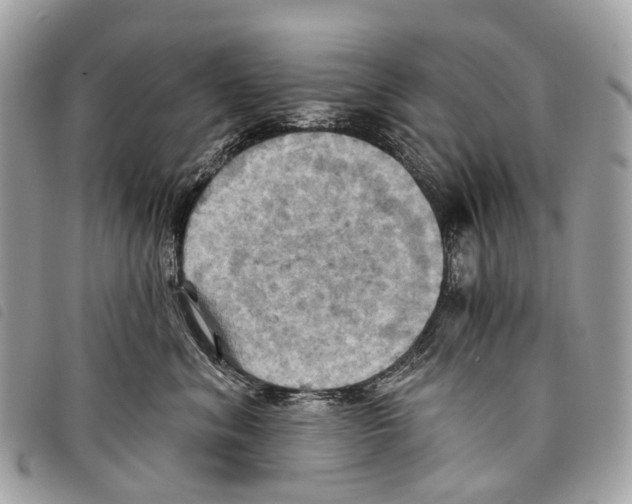 X0000097830620200804111041