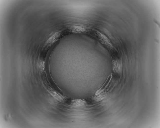 X0000097830621200804111041