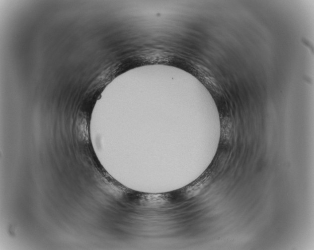 X0000097830622200804111041