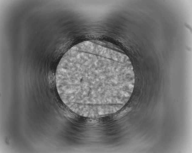 X0000097830624200804111041