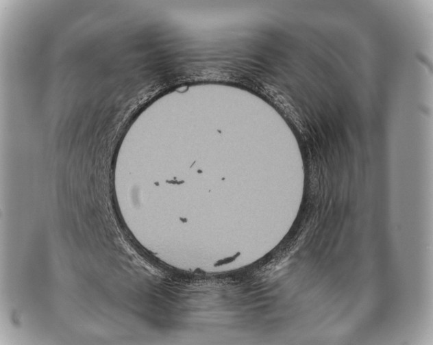 X0000097830625200804111040