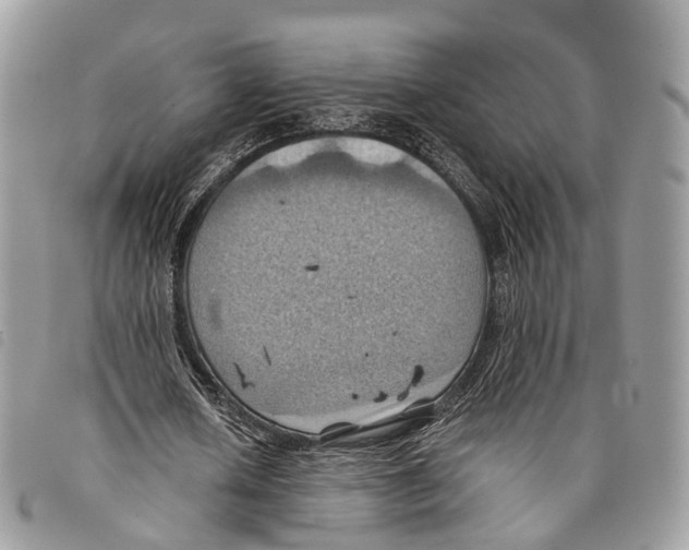 X0000097830626200804111040