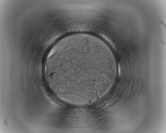 X0000097830627200804111040