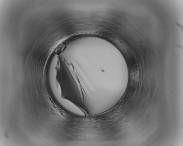 X0000097830628200804111040