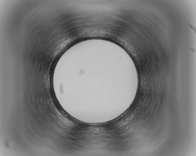 X0000097830629200804111040