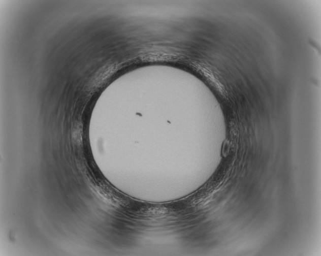 X0000097830631200804111040