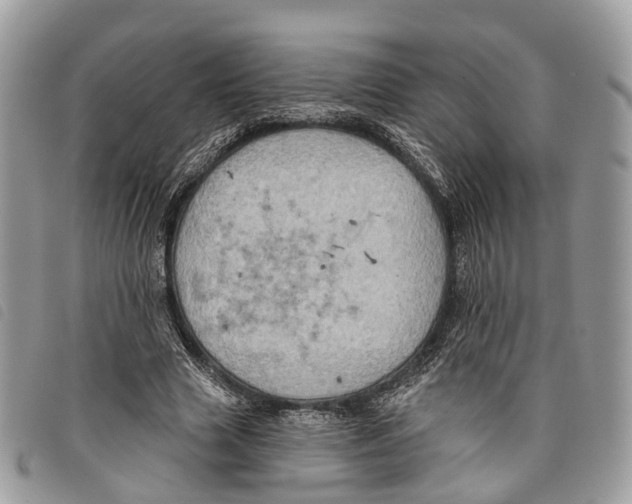 X0000097830633200804111040