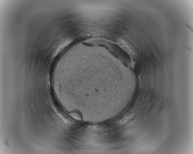 X0000097830634200804111040