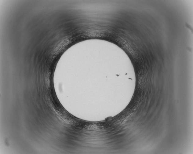 X0000097830635200804111040