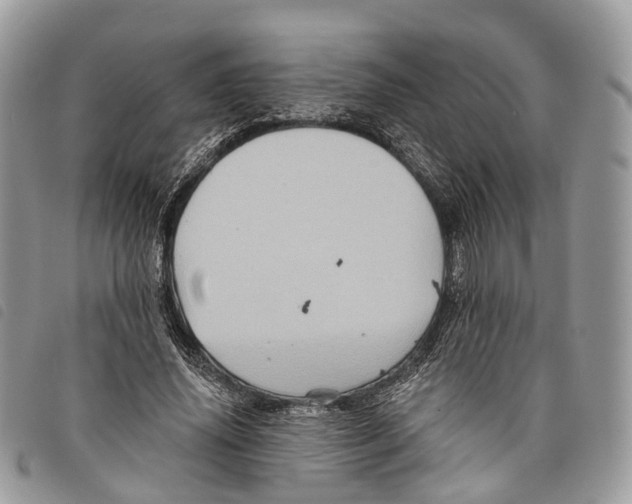 X0000097830636200804111040