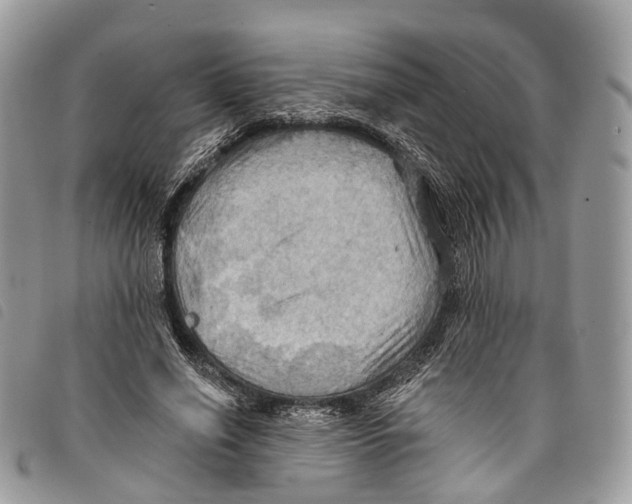 X0000097830638200804111040