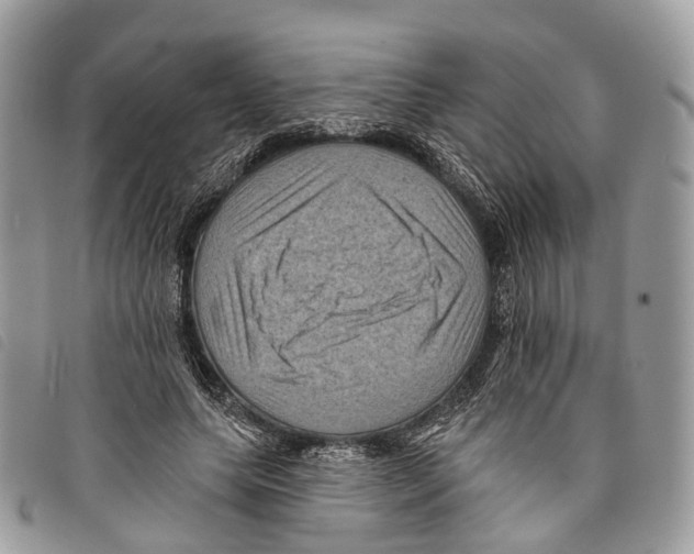 X0000097830639200804111040