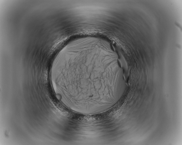 X0000097830640200804111040