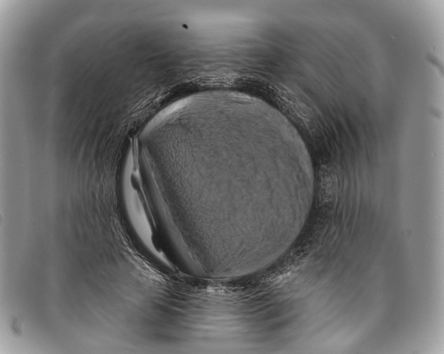 X0000097830641200804111040