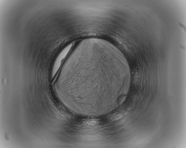 X0000097830643200804111040