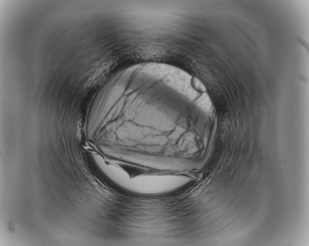 X0000097830644200804111040