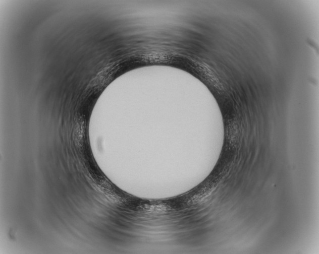 X0000097830645200804111040