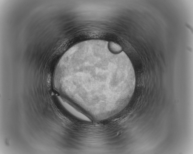 X0000097830646200804111040