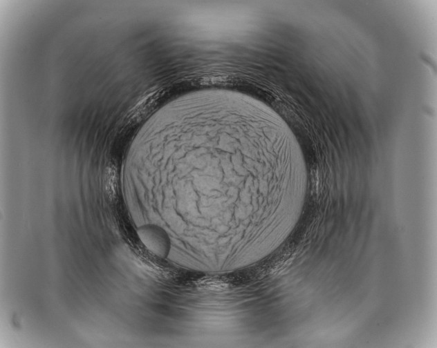 X0000097830648200804111040